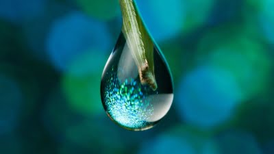 Растворливи во вода облоги